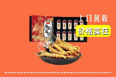 红河州绿春回收冬虫夏草