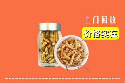 收购资讯:红河州绿春回收散虫草