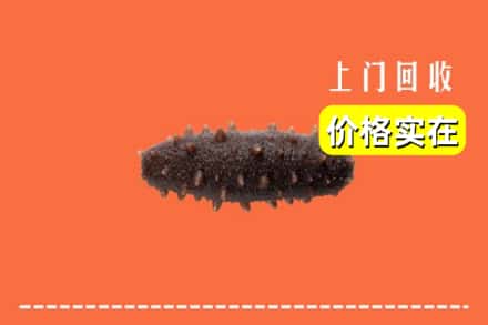 收购资讯:红河州绿春回收海参
